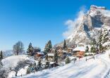 Festive Holidays