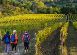 Walking Holidays