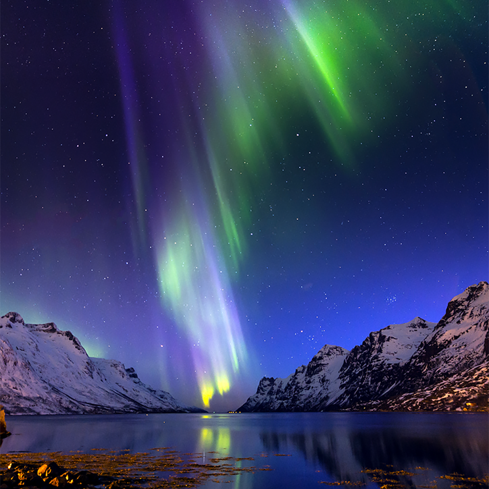 Northern Lights Over a Lake