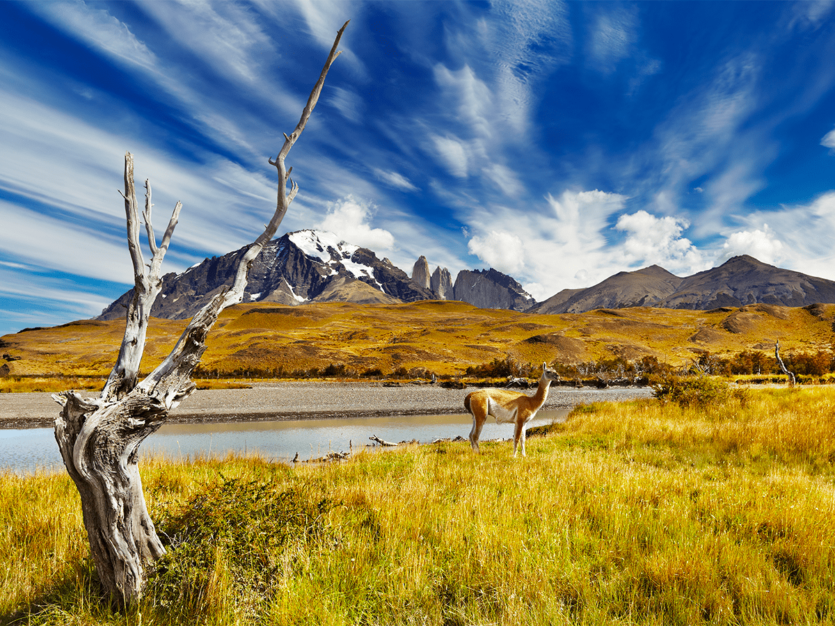 View of a National Park